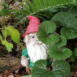 Meet your Posher, Cherry